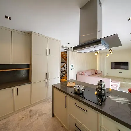 Vilă With Private Swimming Pool In Bodrum