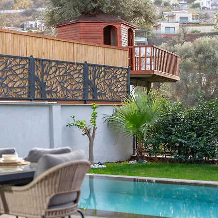 Villa With Private Swimming Pool In Bodrum